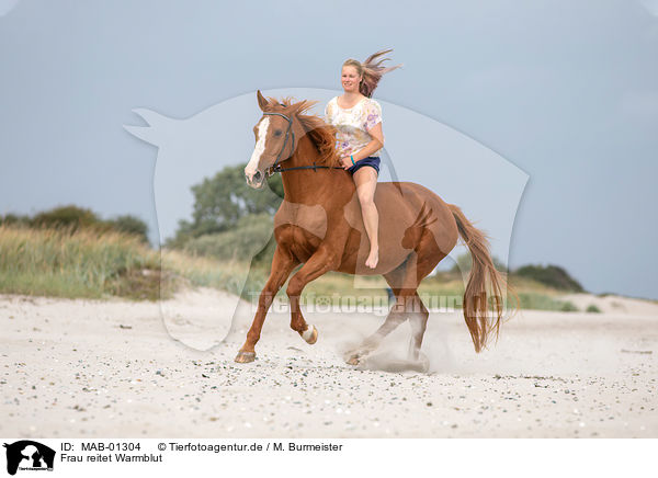 Frau reitet Warmblut / woman rides warmblood / MAB-01304