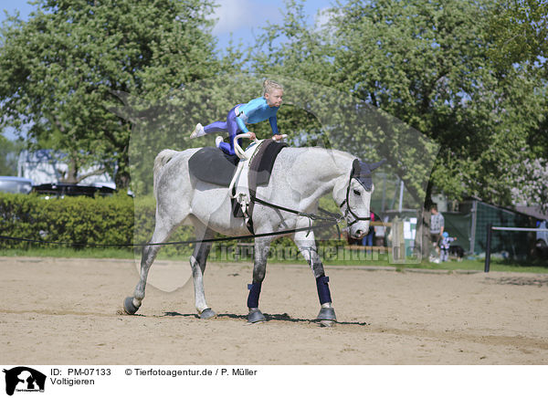 Voltigieren / equestrian vaulting / PM-07133