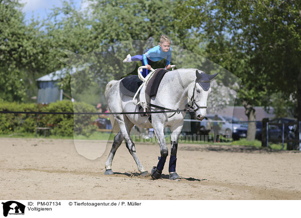 Voltigieren / equestrian vaulting / PM-07134