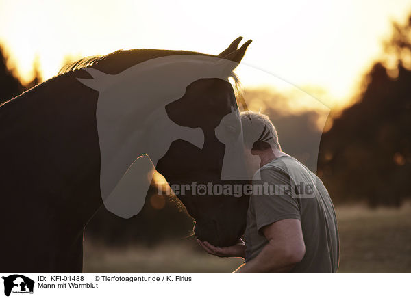 Mann mit Warmblut / man with Warmblood / KFI-01488
