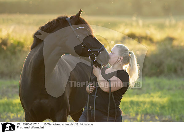 Frau und Warmblut / EHO-01716