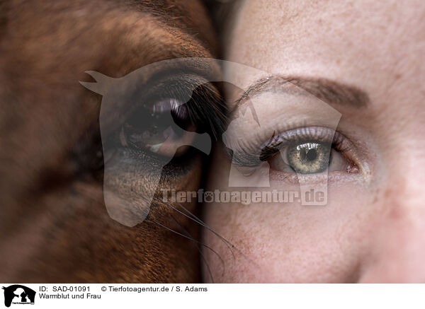 Warmblut und Frau / wamblood and woman / SAD-01091