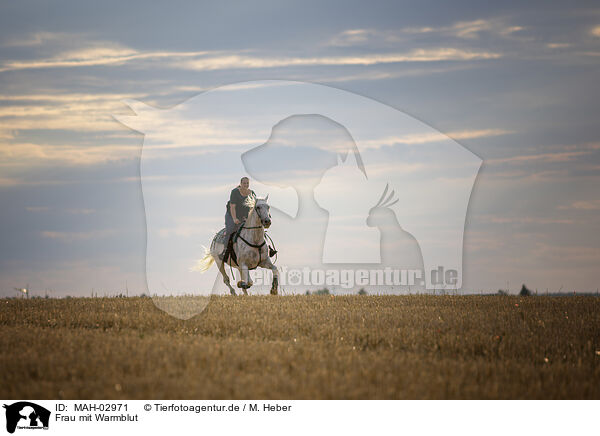 Frau mit Warmblut / woman with warmblood / MAH-02971