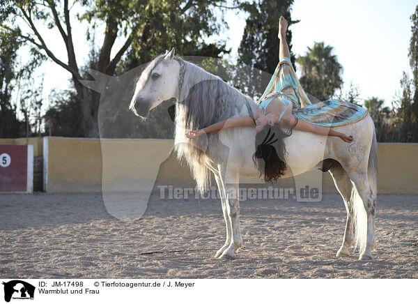 Warmblut und Frau / JM-17498