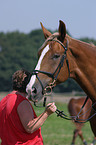 Pferd und Mensch