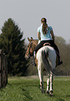 Frau reitet Warmblut
