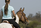 Frau reitet Warmblut
