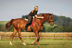 Frau reitet Warmblut