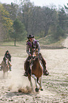 Menschen reiten Pferde