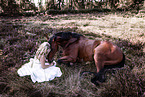 Frau mit Warmblut