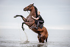 Frau mit Warmblut