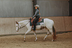 Warmblut