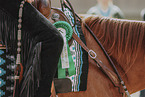 Warmblut