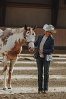 Warmblut