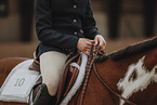 Warmblut