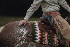 Warmblut