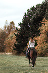 Warmblut