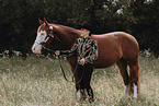 Warmblut