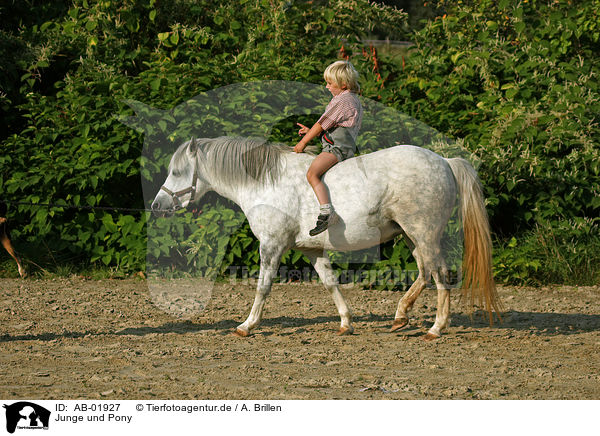 Junge und Pony / boy with pony / AB-01927