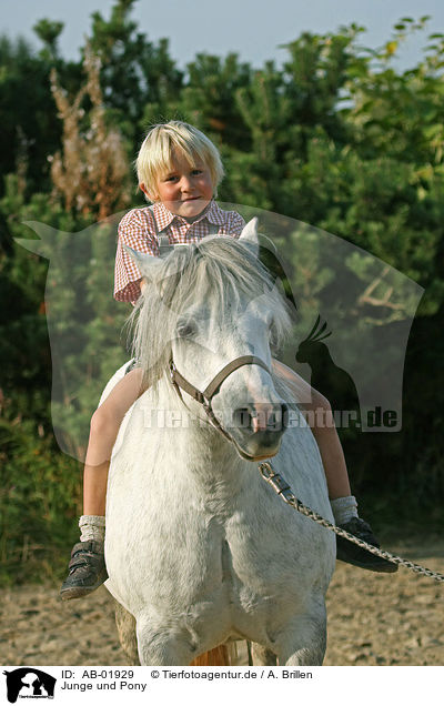 Junge und Pony / boy with pony / AB-01929
