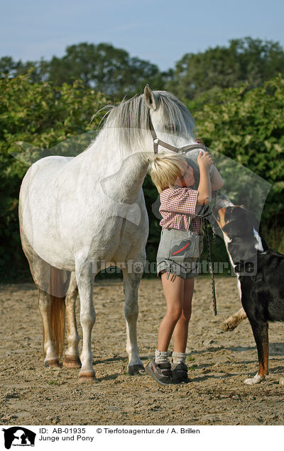 Junge und Pony / AB-01935