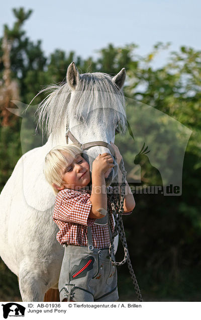 Junge und Pony / boy with pony / AB-01936