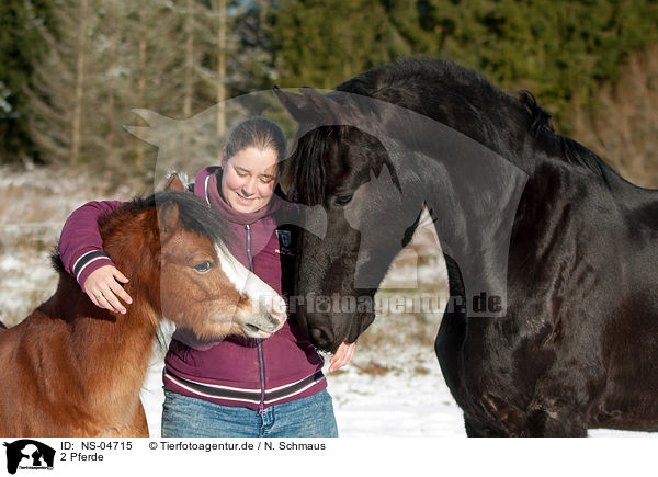 2 Pferde / 2 horses / NS-04715