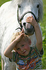 Welsh A Pony