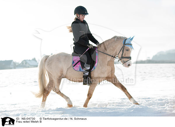 Frau reitet Welsh B / woman rides Welsh B / NS-04730