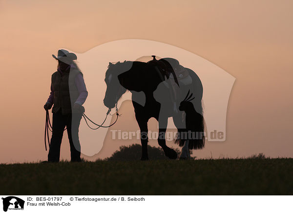 Frau mit Welsh-Cob / woman with Welsh-Cob / BES-01797