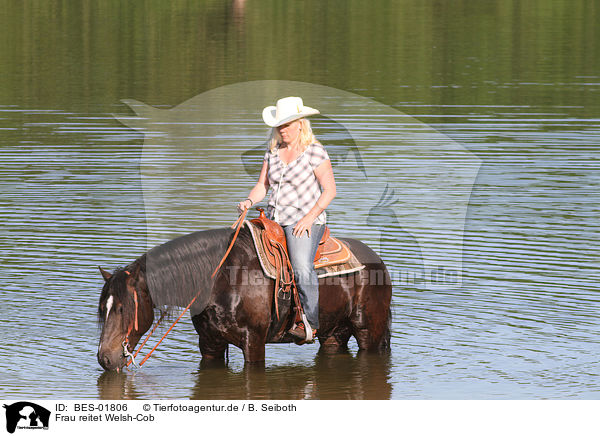 Frau reitet Welsh-Cob / woman rides Welsh-Cob / BES-01806