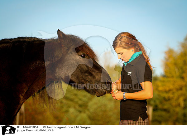 junge Frau mit Welsh Cob / MW-01954