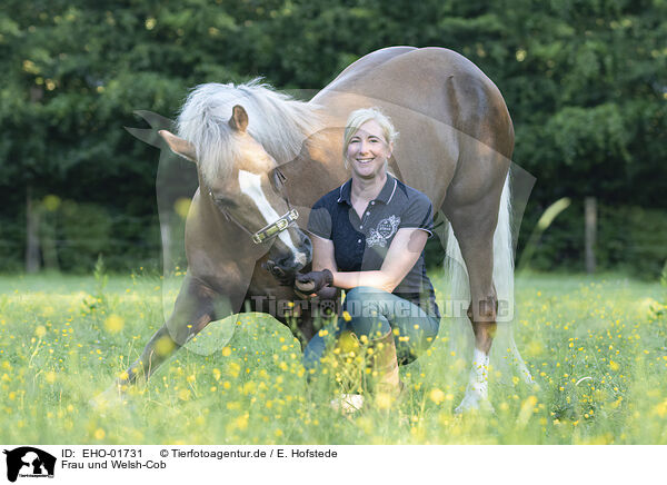 Frau und Welsh-Cob / EHO-01731