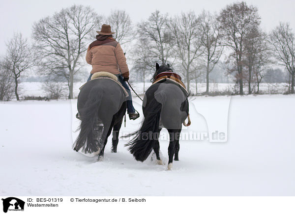 Westernreiten / riding / BES-01319