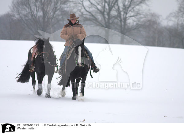 Westernreiten / riding / BES-01322