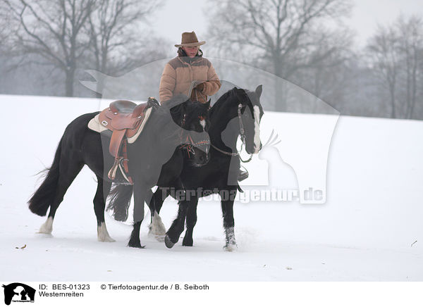 Westernreiten / riding / BES-01323