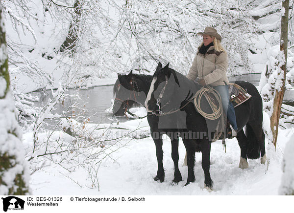 Westernreiten / riding / BES-01326