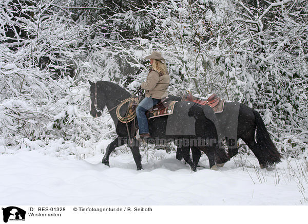 Westernreiten / riding / BES-01328