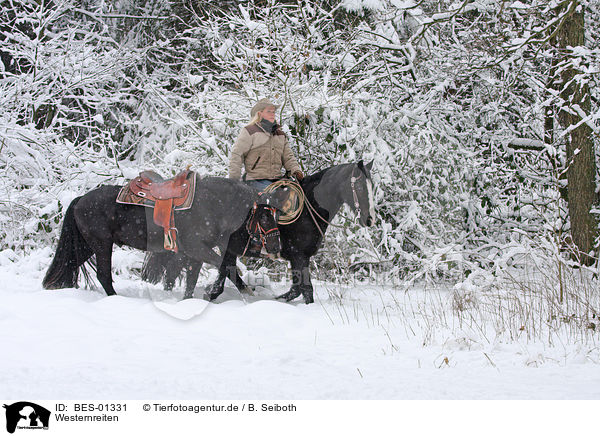 Westernreiten / riding / BES-01331