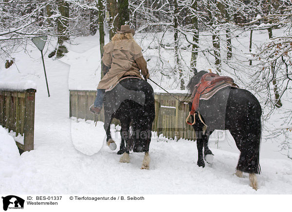 Westernreiten / riding / BES-01337