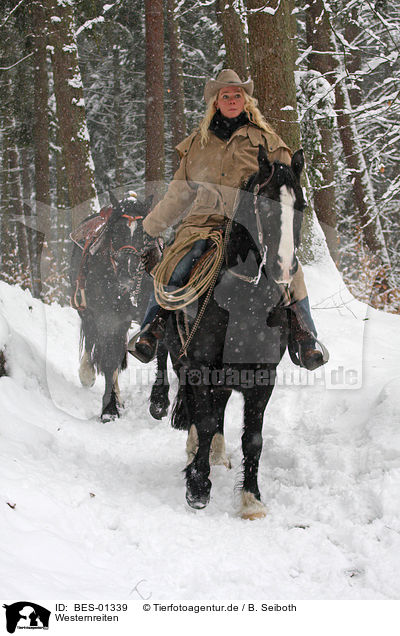 Westernreiten / riding / BES-01339