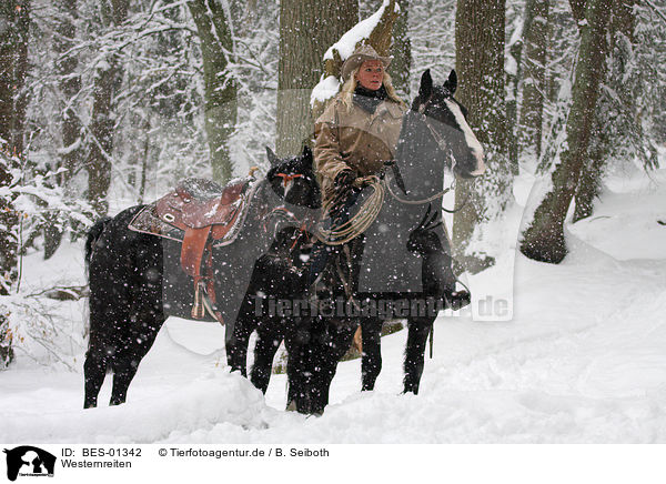 Westernreiten / riding / BES-01342