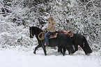 Westernreiten
