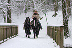 Westernreiten