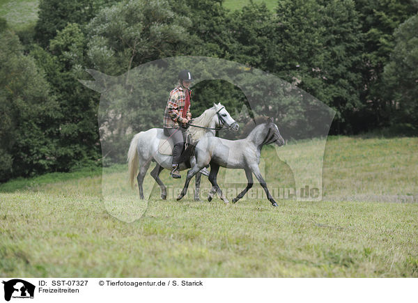 Freizeitreiten / riding / SST-07327