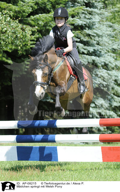Mdchen springt mit Welsh Pony / girl jumps with Welsh Pony / AP-08215