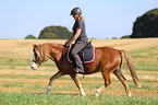 Frau reitet Welsh Pony