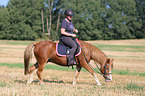 Frau reitet Welsh Pony