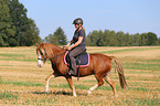 Frau reitet Welsh Pony