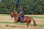 Frau reitet Welsh Pony